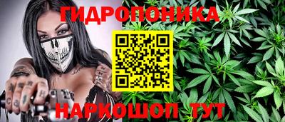 гидропоника Будённовск