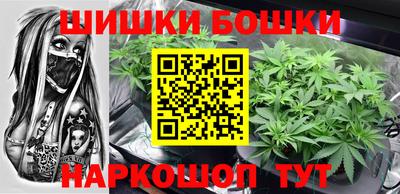 гидропоника Будённовск