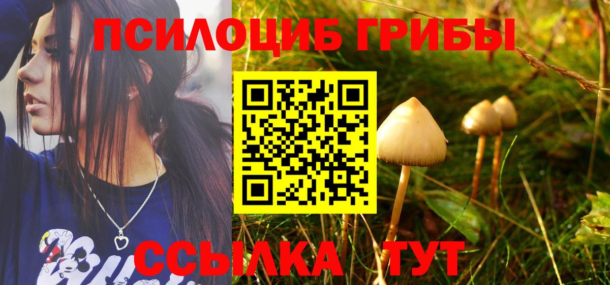 Галлюциногенные грибы мицелий  Вход с VPN  Новоалександровск 